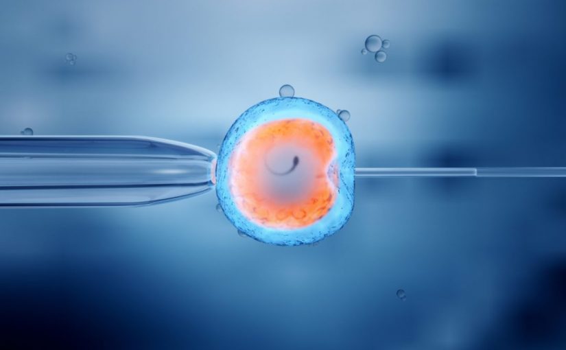 IVF pathology